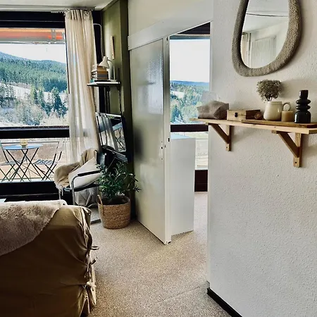 Cocon Vue Montagne Apartment *